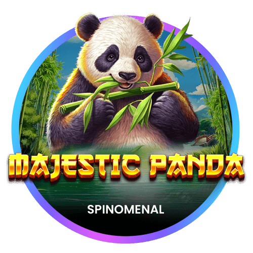 Majestic Panda